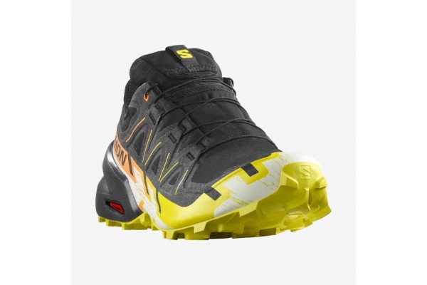 Salomon Speedcross 6 GTX Patika Koşu Ayakkabısı