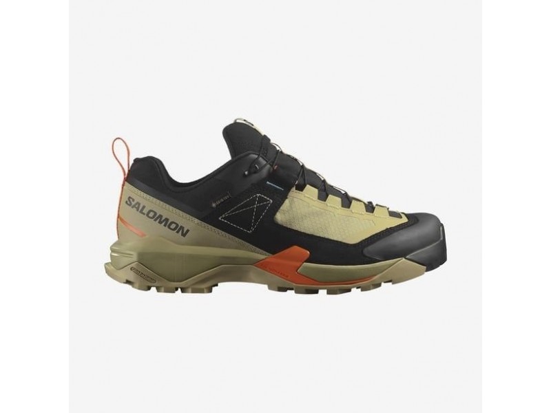 Salomon X Ultra Alpine GTX Outdoor Ayakkabı