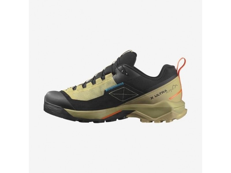 Salomon X Ultra Alpine GTX Outdoor Ayakkabı