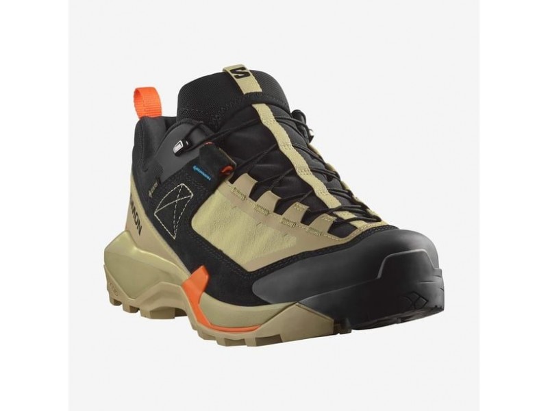 Salomon X Ultra Alpine GTX Outdoor Ayakkabı